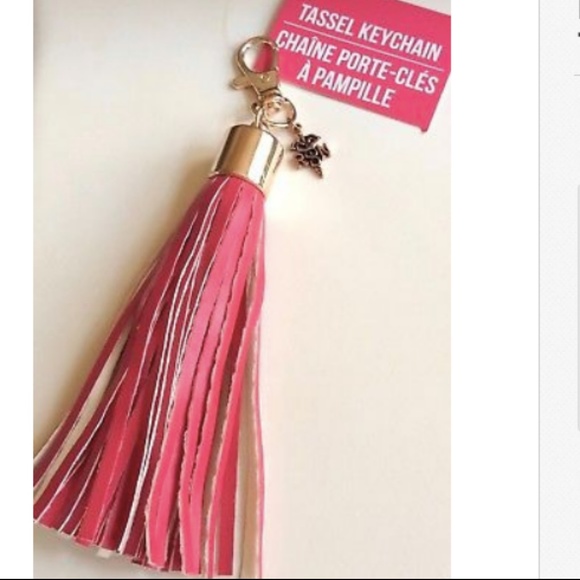 RN Caduceus Nursing Keychain Purse Charm Tassel Nurse Graduation Gift - Picture 6 of 7